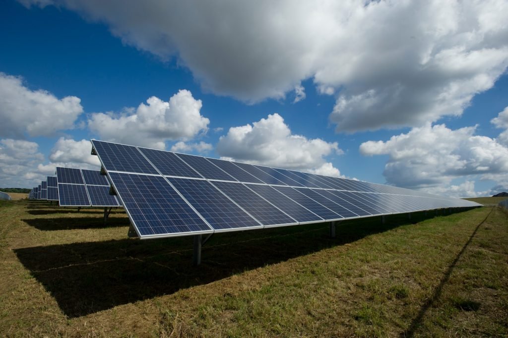 solar panels on green field on a farm - Go Renewables